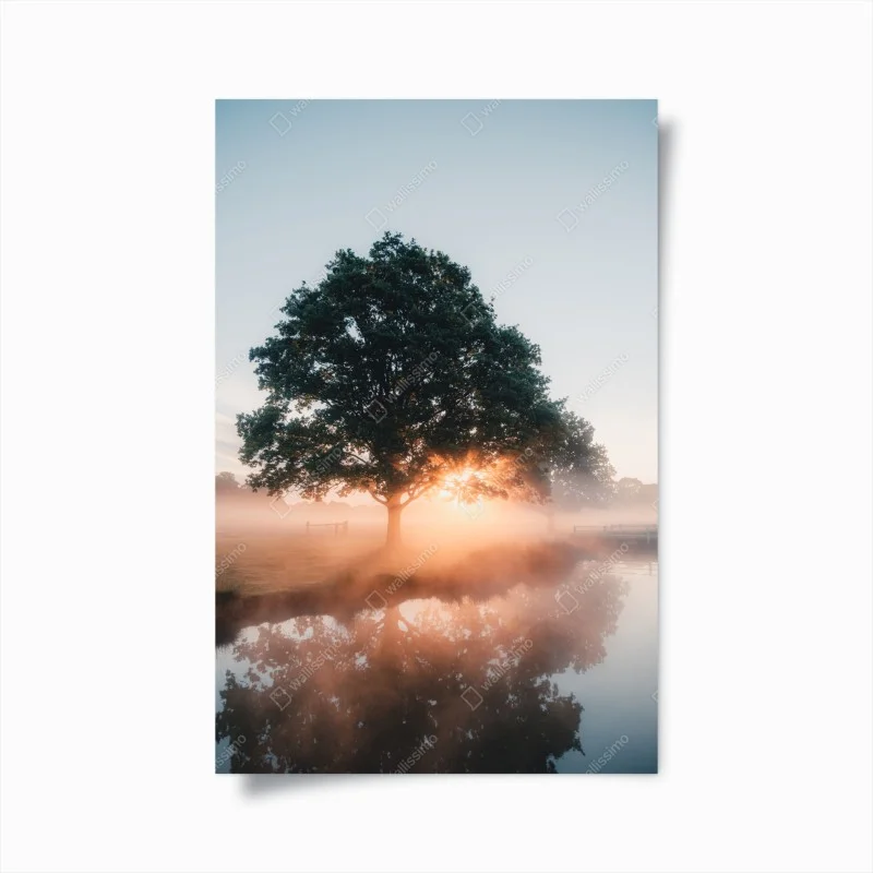 Poster albero all'alba con riflesso nella nebbia