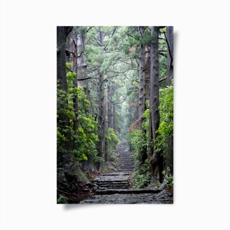 Poster sentiero silenzioso nella foresta secolare • Wallissimo®