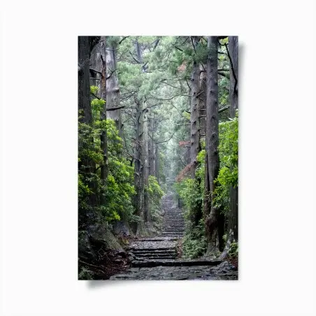 Poster sentiero silenzioso nella foresta secolare • Wallissimo®