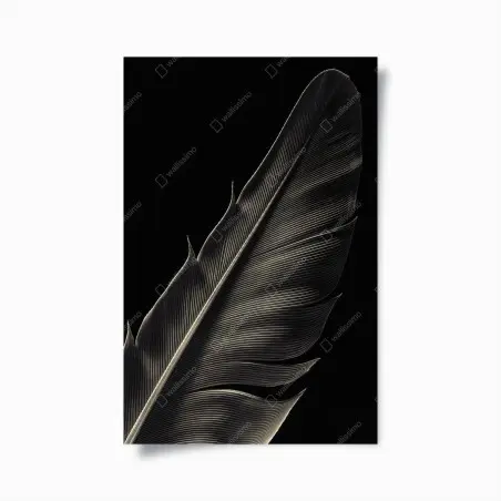 Poster piuma in primo piano, eleganza in bianco e nero • Wallissimo®