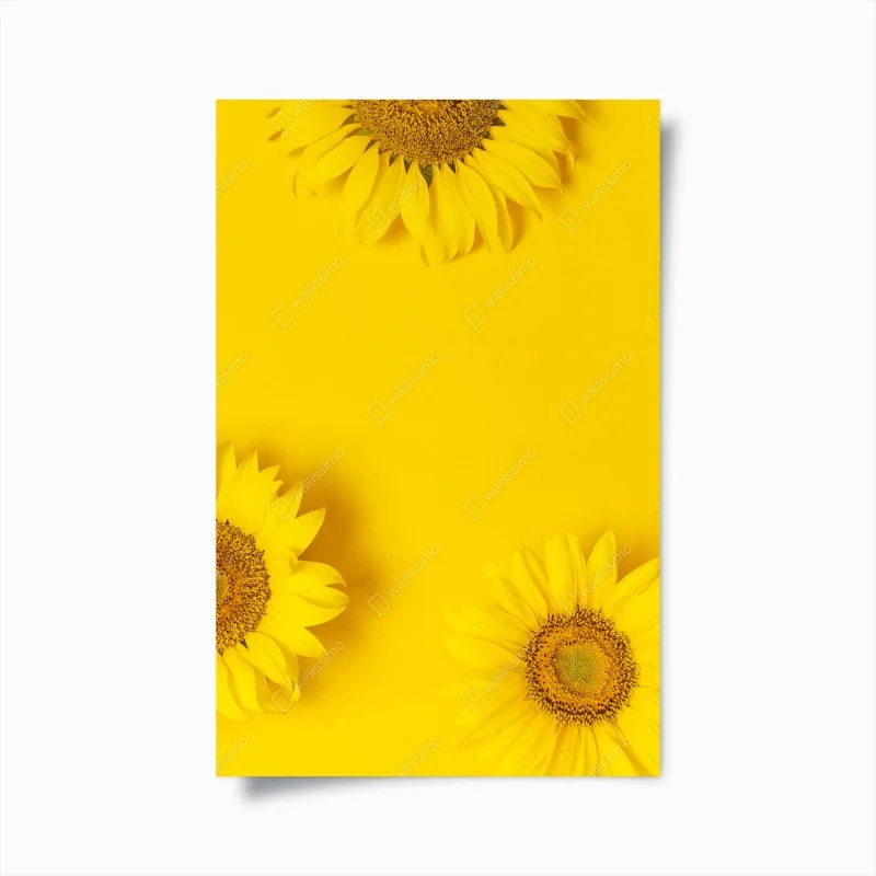 Poster girasoli su sfondo giallo brillante