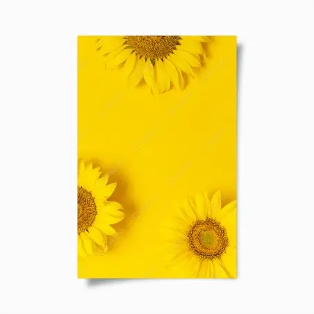 Poster girasoli su sfondo giallo brillante • Wallissimo®