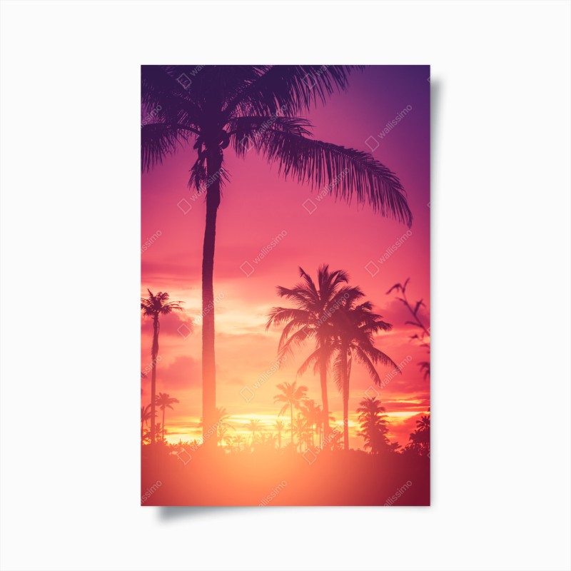 Poster tramonto tropicale in silhouette