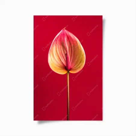 Poster anturio su sfondo rosso in stile botanico minimalista • Wallissimo®