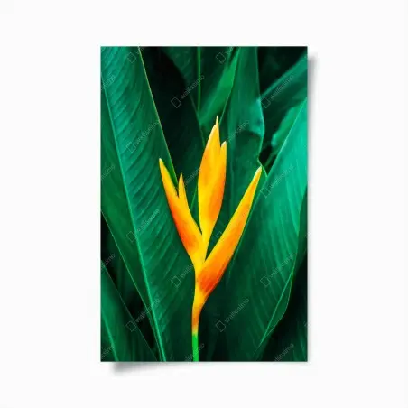 Poster eleganza tropicale: fiore giallo su foglie verdi • Wallissimo®