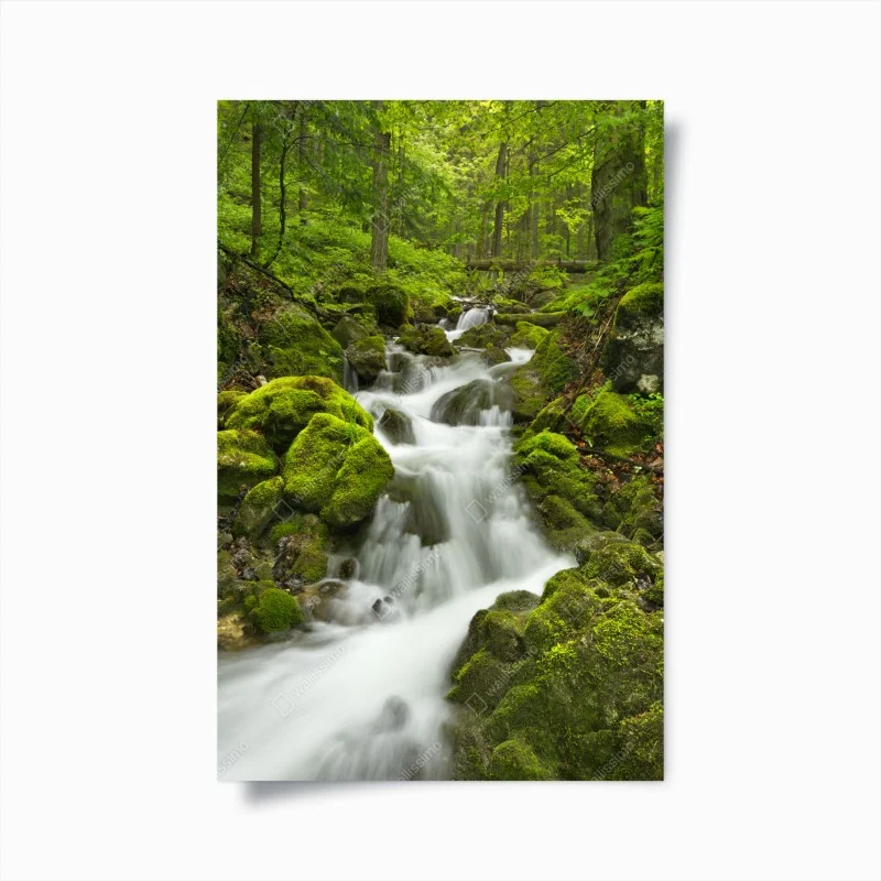 Poster cascata di smeraldo nella foresta di Slovenský Raj