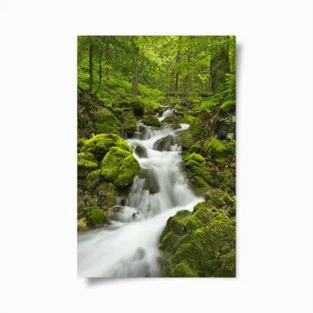 Poster cascata di smeraldo nella foresta di Slovenský Raj • Wallissimo®