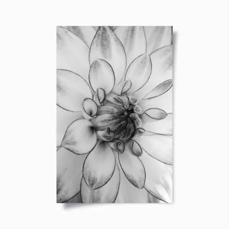 Poster eleganza floreale in bianco e nero • Wallissimo®