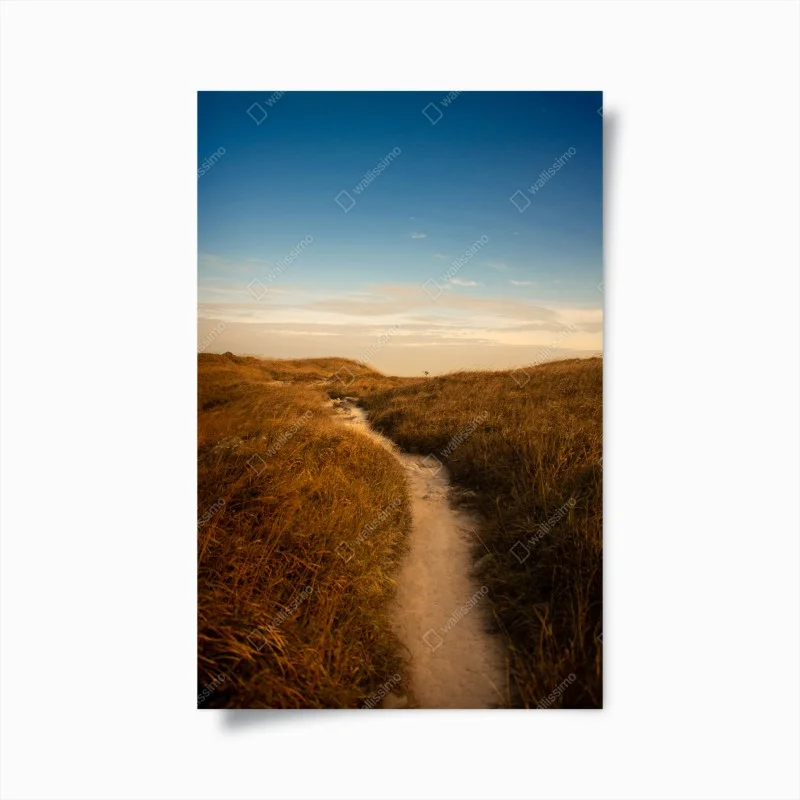 Poster sentiero tra le dune al crepuscolo