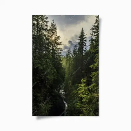 Poster luce dorata nella gola della foresta • Wallissimo®
