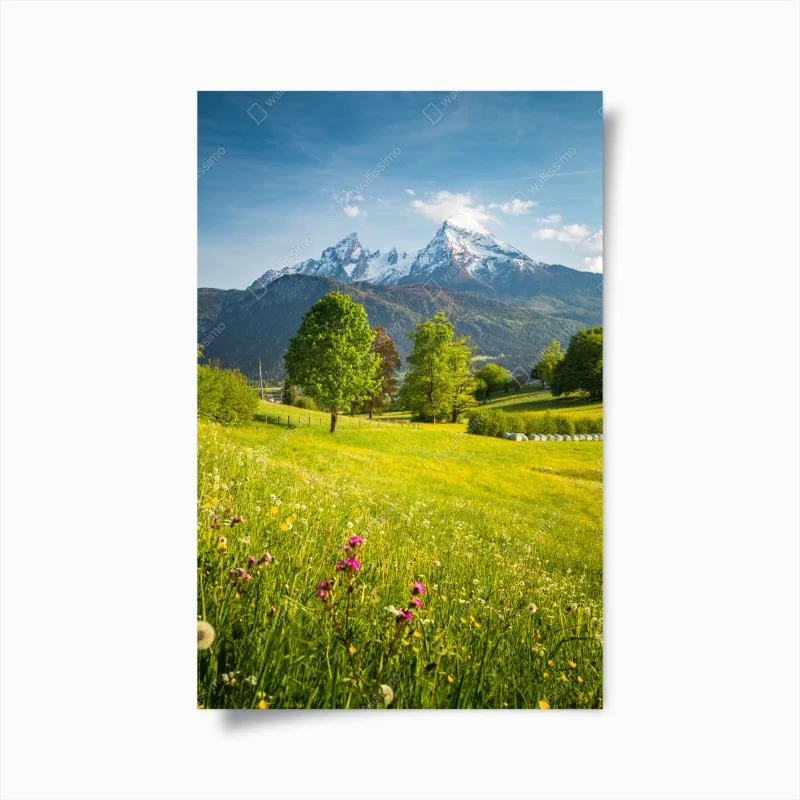 Poster panorama alpino primaverile con prati fioriti • Wallissimo® Poster panorama alpino primaverile con prati fioriti • Wallissimo®