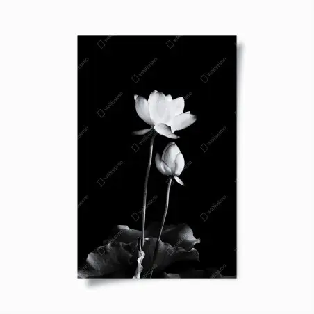 Poster fiore di loto minimalista in bianco e nero • Wallissimo®