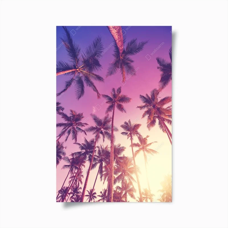 Poster sotto le palme al tramonto