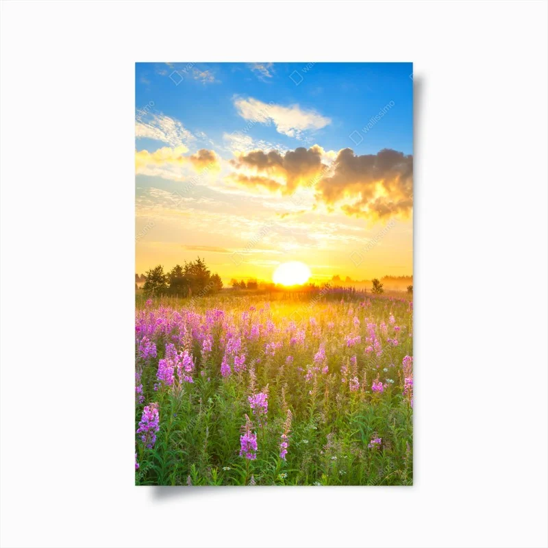Poster alba dorata sul prato fiorito