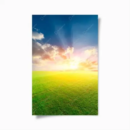 Poster tramonto dorato sul prato infinito • Wallissimo®