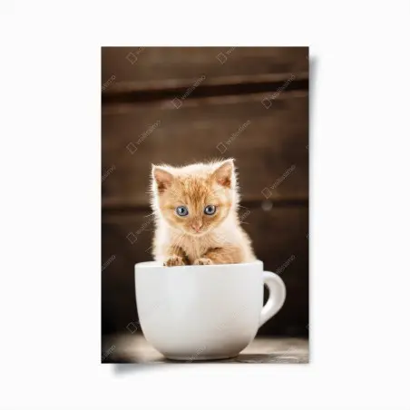 Poster gattino arancione nella tazza • Wallissimo®