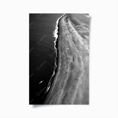Poster spiaggia in bianco e nero vista dall'alto • Wallissimo®