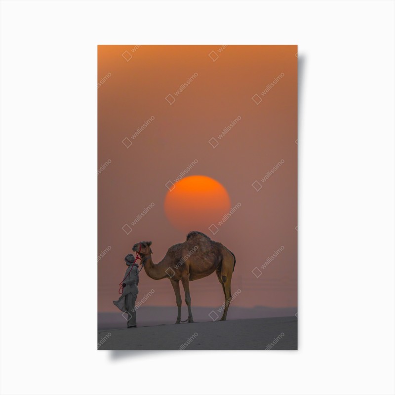 Poster tramonto nel deserto con cammello e custode