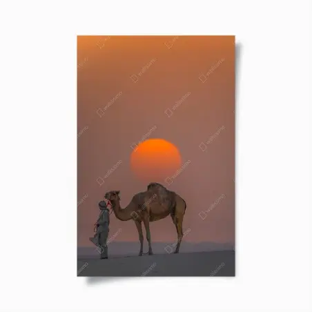 Poster tramonto nel deserto con cammello e custode • Wallissimo®
