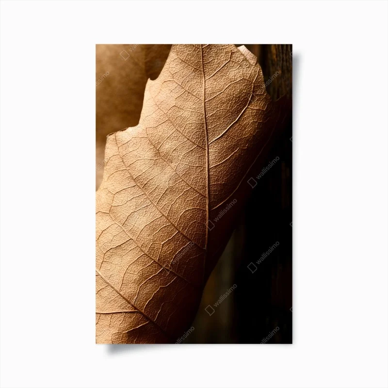 Poster foglia secca texture e venature dorate