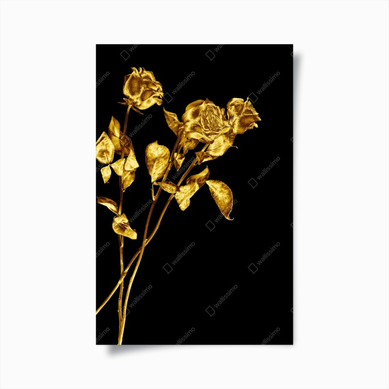 Poster rose dorate su sfondo nero