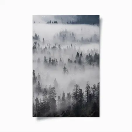 Poster foresta avvolta nella nebbia • Wallissimo®