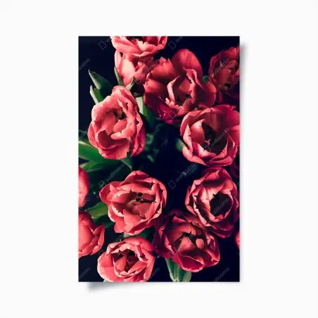 Poster mazzo di tulipani rosa su sfondo scuro • Wallissimo®