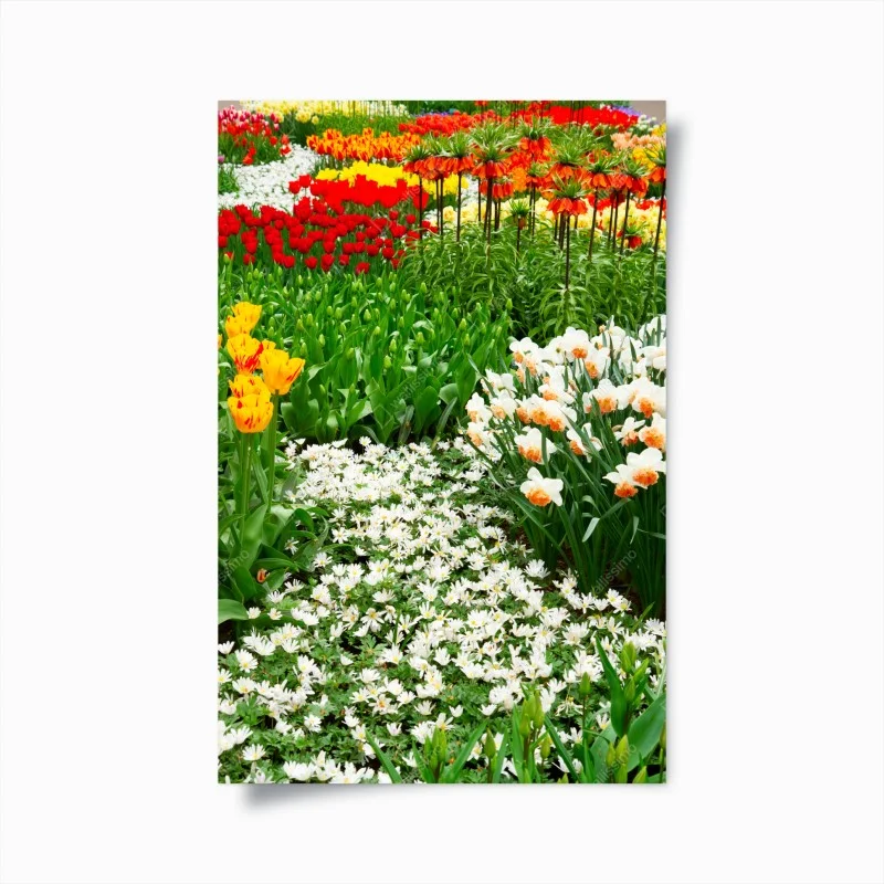 Poster esplosione di fiori primaverili