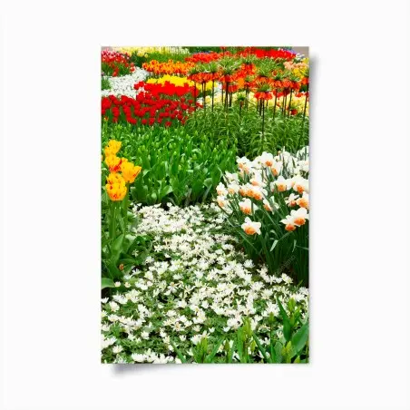 Poster esplosione di fiori primaverili • Wallissimo®