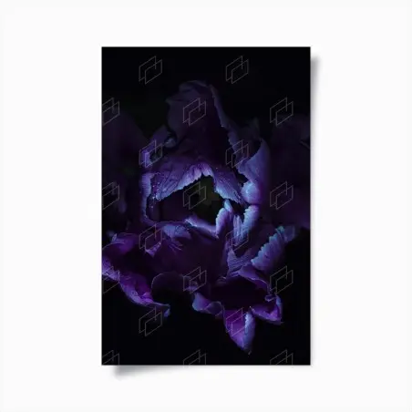 Poster tulipano viola in luce ultravioletta • Wallissimo®