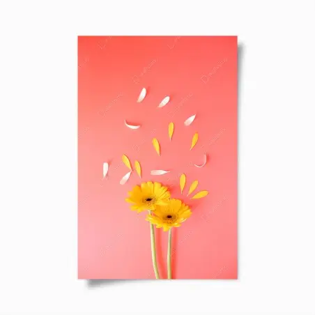 Poster gerbere gialle su sfondo corallo con petali volanti • Wallissimo®