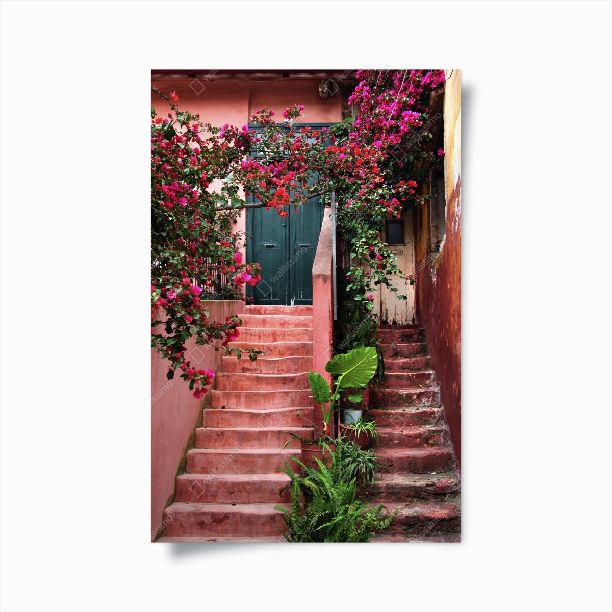 Poster portale fiorito su gradini rosa • Wallissimo®