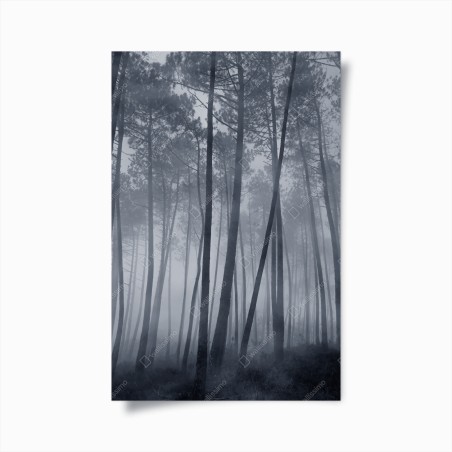Poster foresta di pini nella nebbia notturna • Wallissimo®