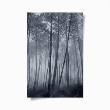 Poster foresta di pini nella nebbia notturna • Wallissimo®