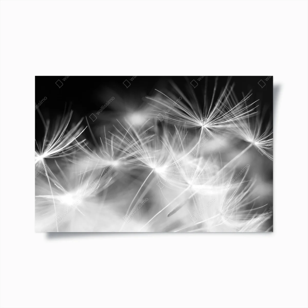 Poster soffione in dettaglio: eleganza minimale • Wallissimo® Poster soffione in dettaglio: eleganza minimale • Wallissimo®