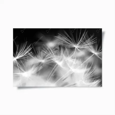 Poster soffione in dettaglio: eleganza minimale • Wallissimo®