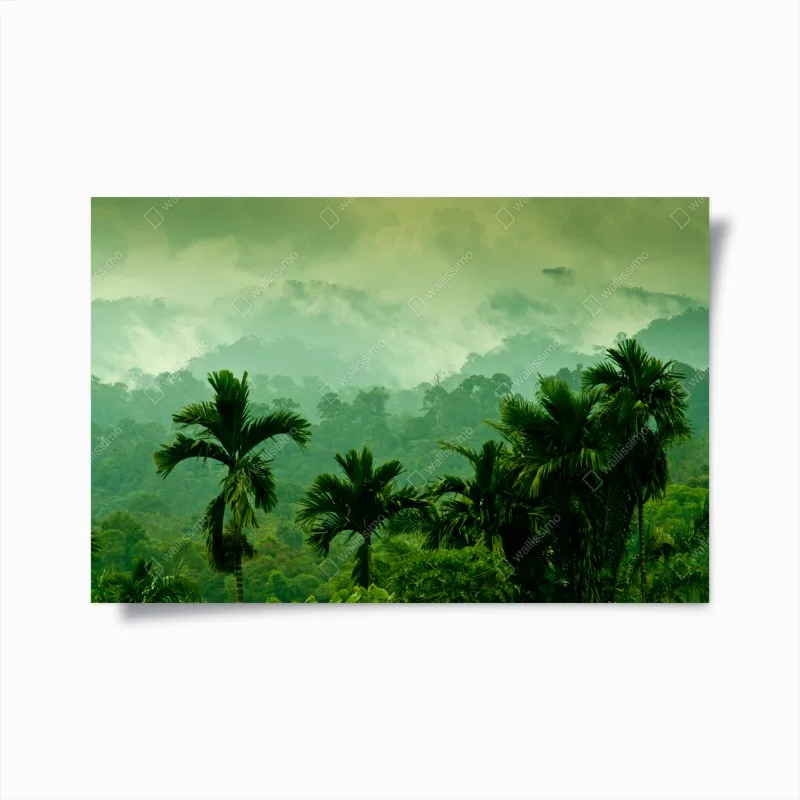 Poster foresta tropicale nella nebbia