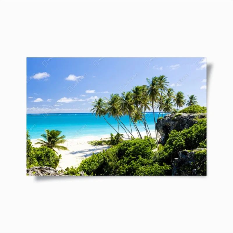 Poster oasi tropicale a Bottom Bay, Barbados
