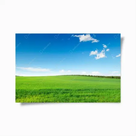 Poster prato verde sotto un cielo azzurro • Wallissimo®