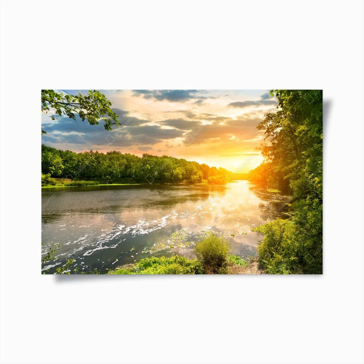Poster tramonto dorato sul fiume • Wallissimo® Poster tramonto dorato sul fiume • Wallissimo®