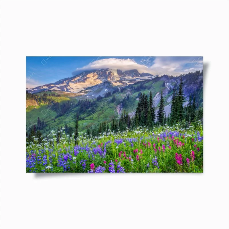 Poster prato alpino fiorito con vista sulla montagna