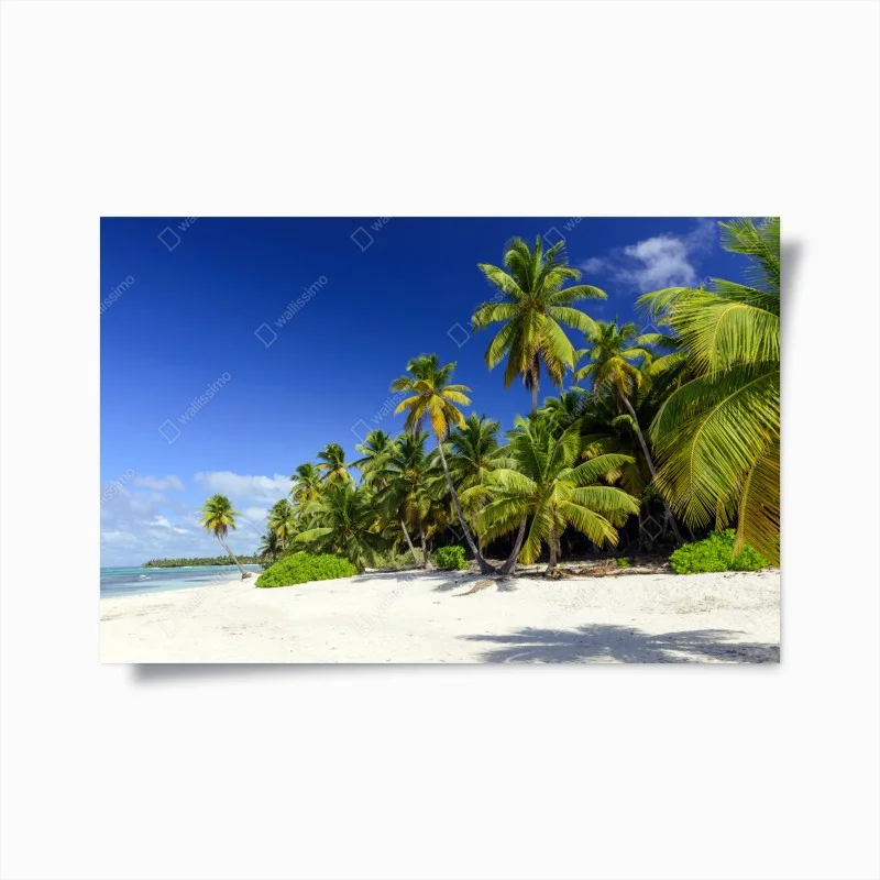 Poster spiaggia tropicale a Punta Cana