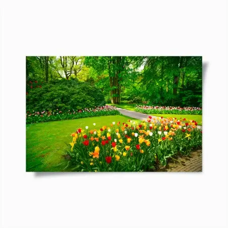 Poster paesaggio di tulipani a Keukenhof • Wallissimo®