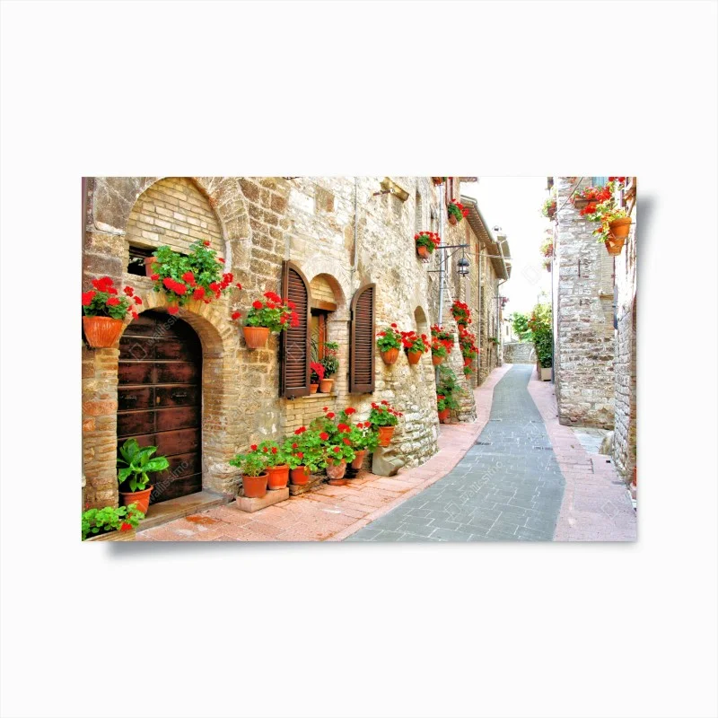 Poster vialetto fiorito nel borgo