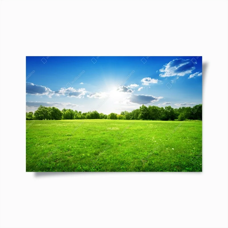 Poster prato verde sotto cielo azzurro