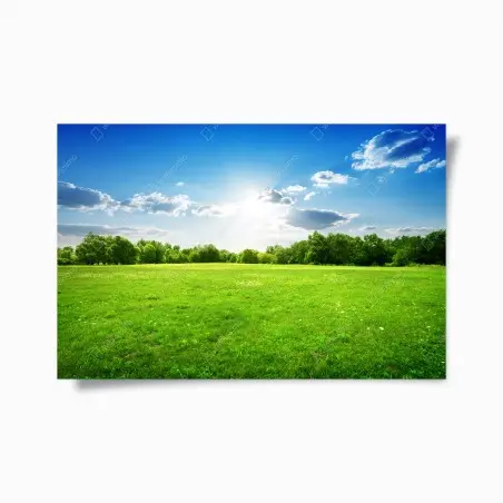 Poster prato verde sotto cielo azzurro • Wallissimo®