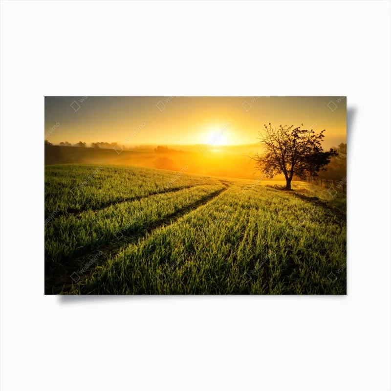 Poster alba dorata sulle colline