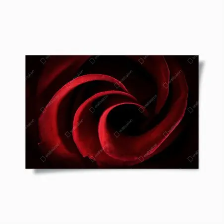 Poster vortice di petali rossi • Wallissimo®