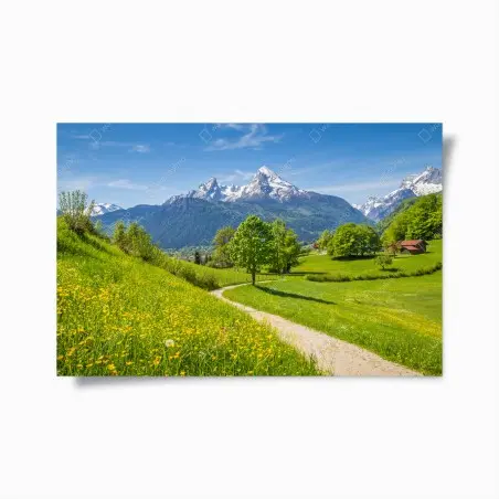 Poster paesaggio alpino con sentiero fiorito • Wallissimo®
