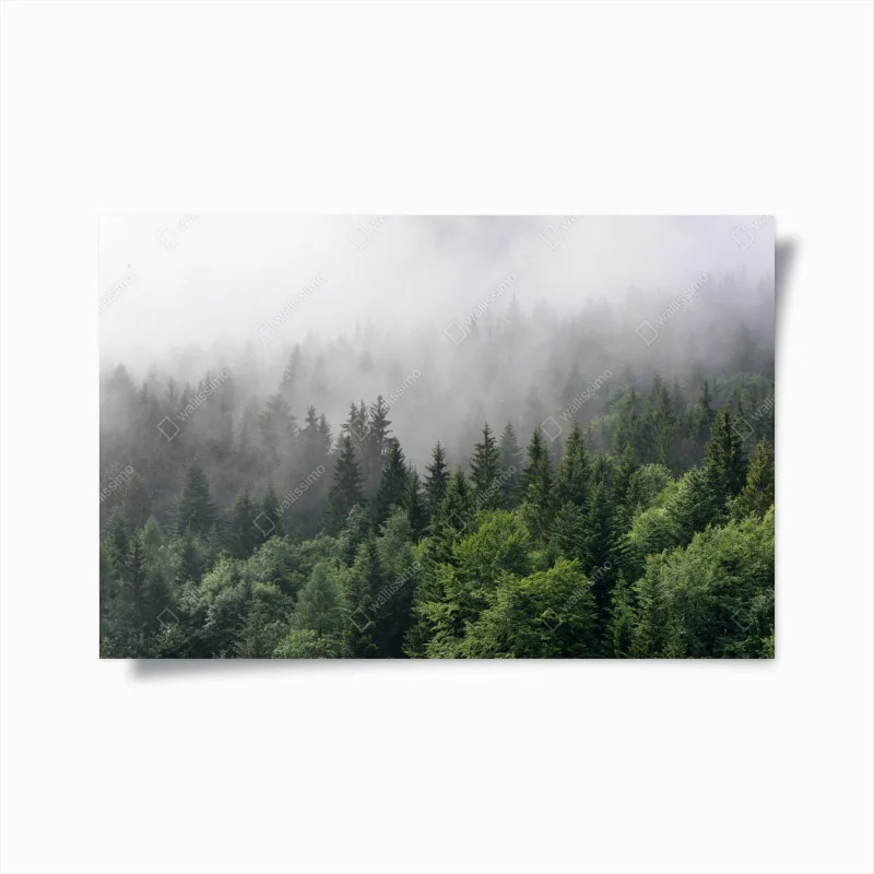 Poster sussurro di nebbia nella foresta